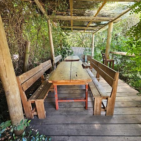 Hostel Punta Ballena Bar 埃斯特角城 外观 照片