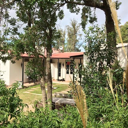 Hostel Punta Ballena Bar 埃斯特角城 外观 照片