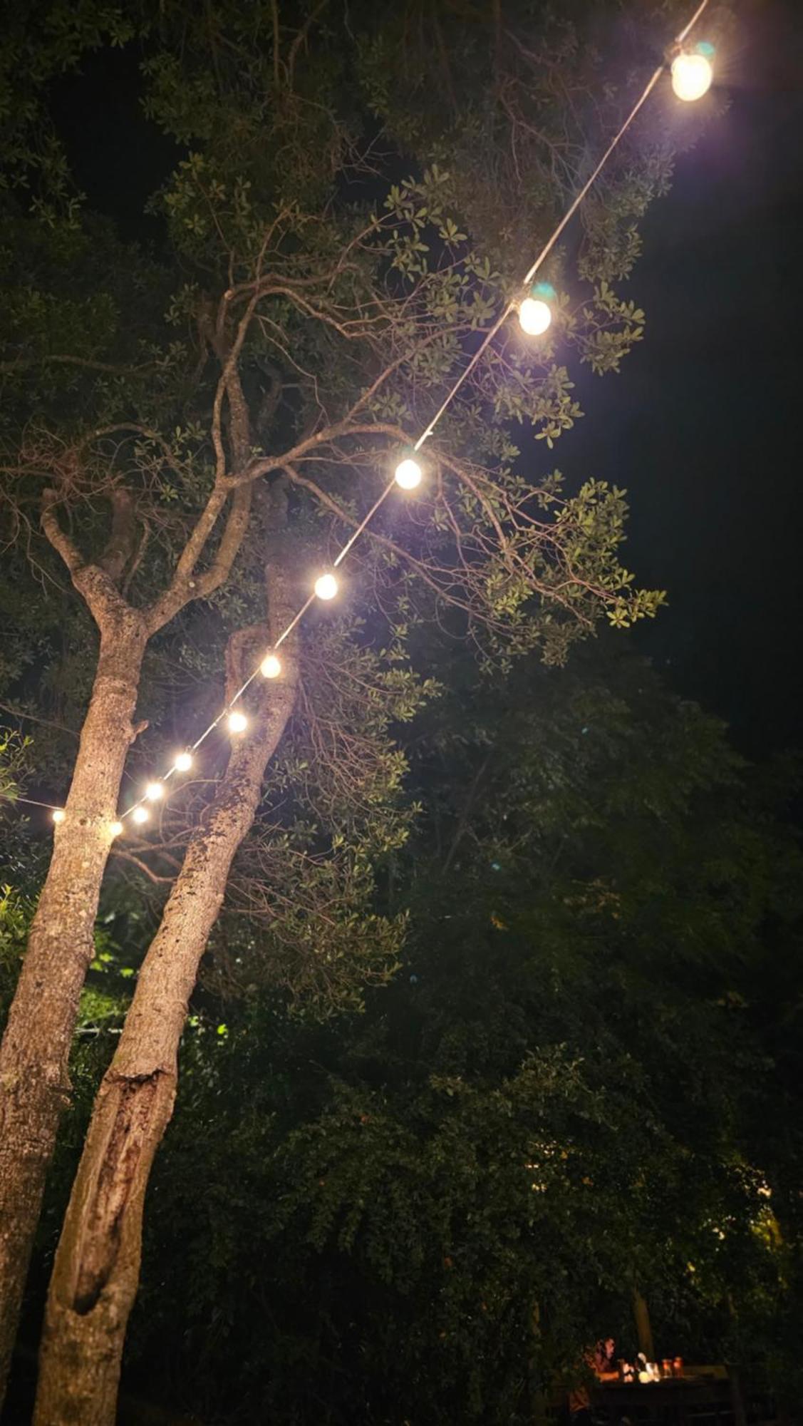 Hostel Punta Ballena Bar 埃斯特角城 外观 照片