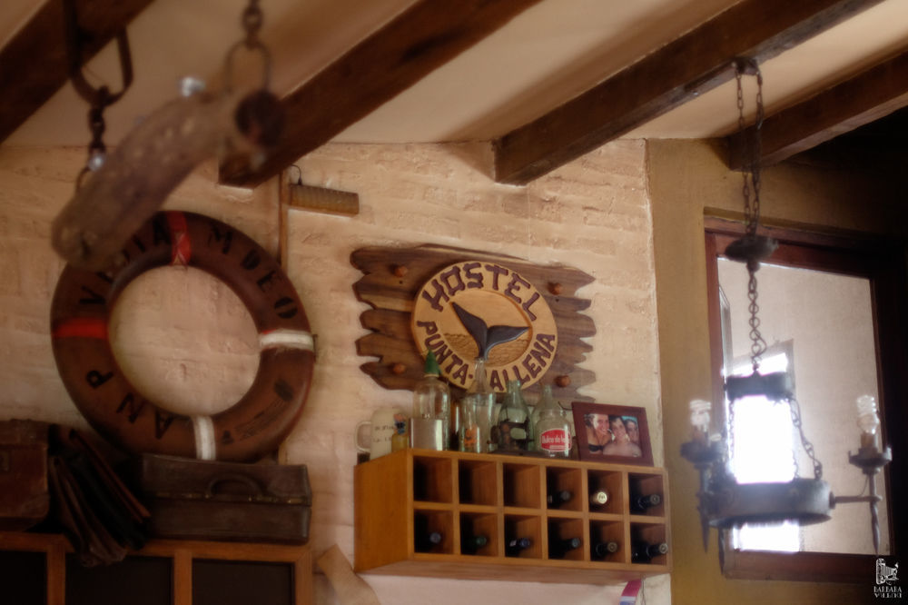 Hostel Punta Ballena Bar 埃斯特角城 外观 照片