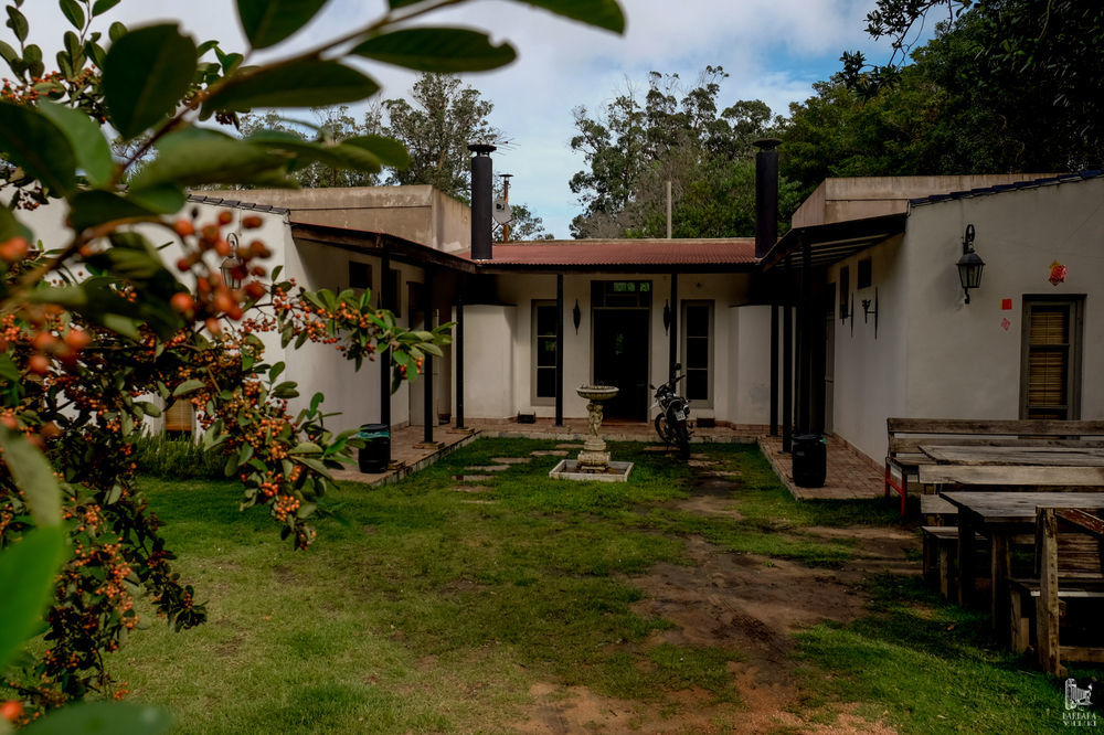 Hostel Punta Ballena Bar 埃斯特角城 外观 照片