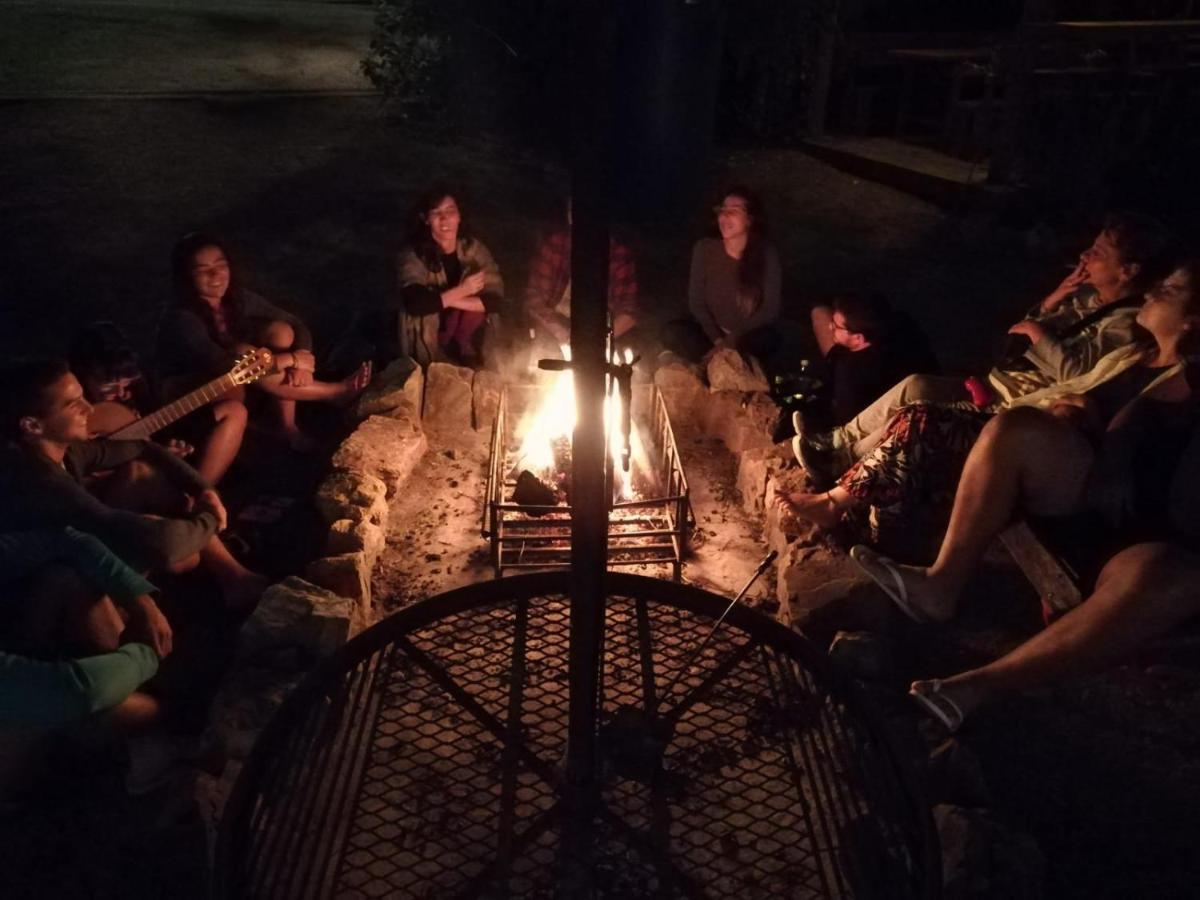 Hostel Punta Ballena Bar 埃斯特角城 外观 照片